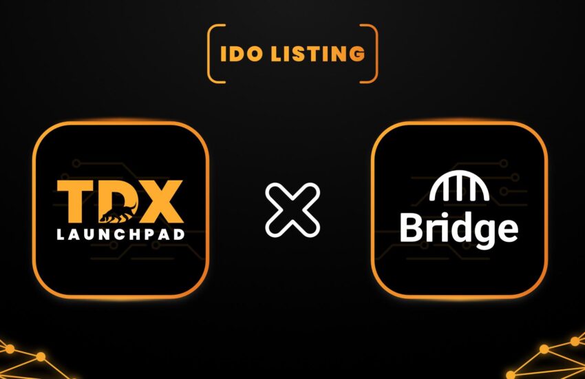 Bridge Network está lanzando su IDO en TDX Launchpad