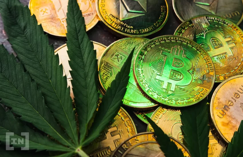 Cannabis Company Fund Turns to Crypto to Raise Capital