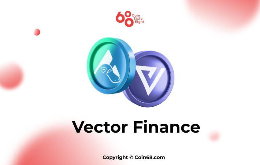 Vector finance
