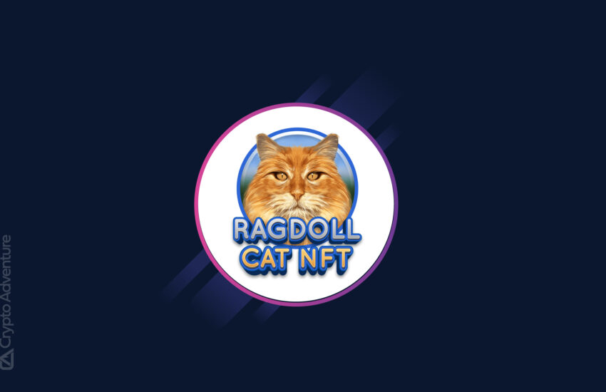 Ragdoll Cat NFT: un nuevo proyecto descentralizado para ayudar a los gatos necesitados