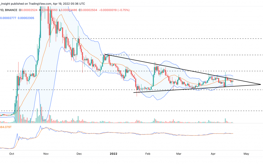 Shiba Inu subirá 10%, precio SHIB podría llegar a $0.0000277 en las próximas 12 horas