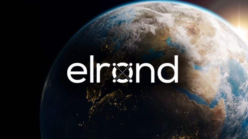 Skynet EGLD Capital raises $ 40 million to expand investments in the Elrond ecosystem