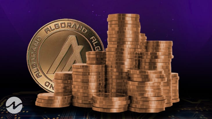 Nigerian Government Partners With Algorand to Launch Major Crypto Initiative
