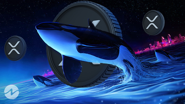 Las ballenas ahora apuntan a XRP: 100 millones de tokens se transfieren a una billetera desconocida