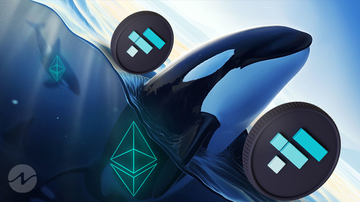 FTX Tokens Into Top 10 Favorites of the Richest Ethereum Whales