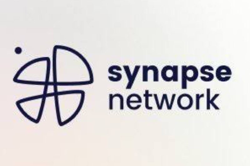 Synapse Network espera salvaguardar a sus clientes con un nuevo programa de protección de inversores