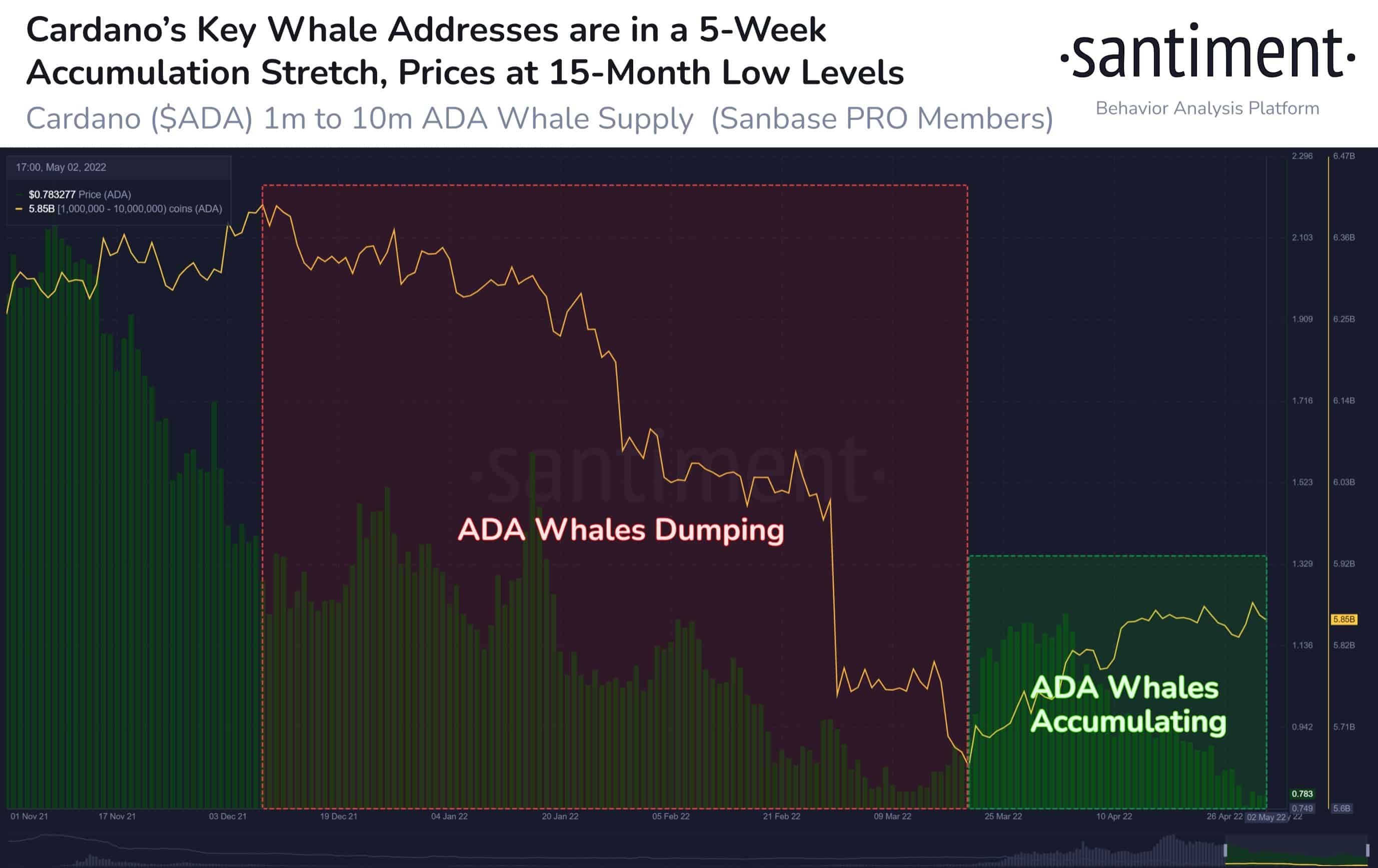 Las ballenas ADA ponen fin a una ola de vertederos de 7 meses