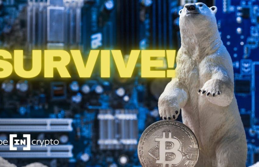 Be[In]Crypto Video News – Advanced Crypto Investing Strategies to Survive a Bear Market