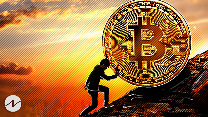 Bitcoin se estrella contra la estrategia HODL del CEO de MicroStrategy, Michael Saylor