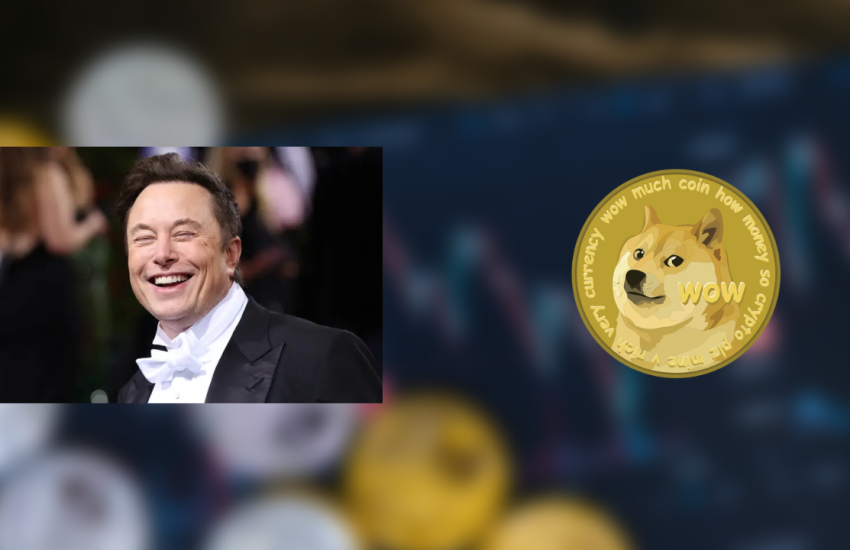 Elon Musk es optimista sobre DOGE, sigue acumulando más