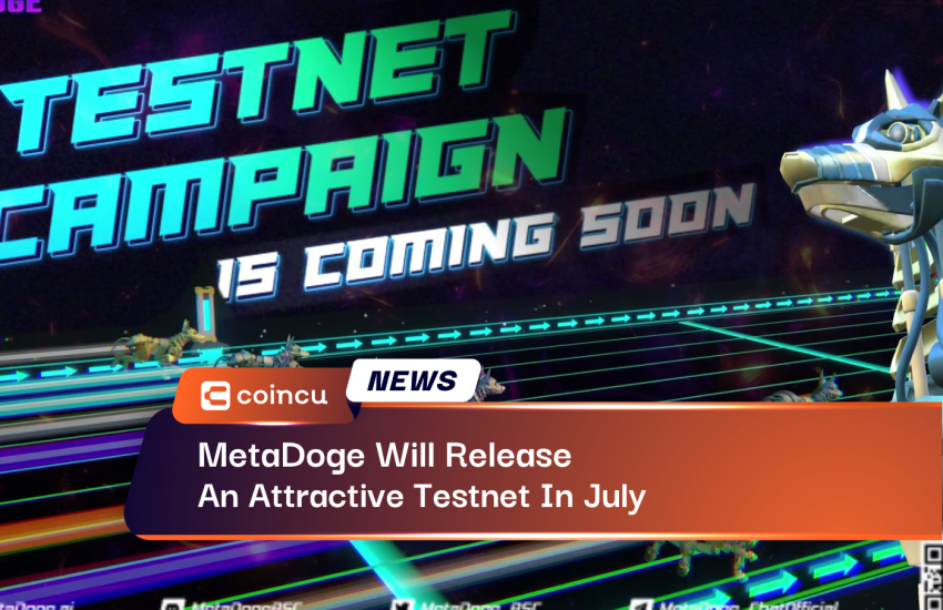 Hot Testnet Version Of MetaDoge Will Be Released In July