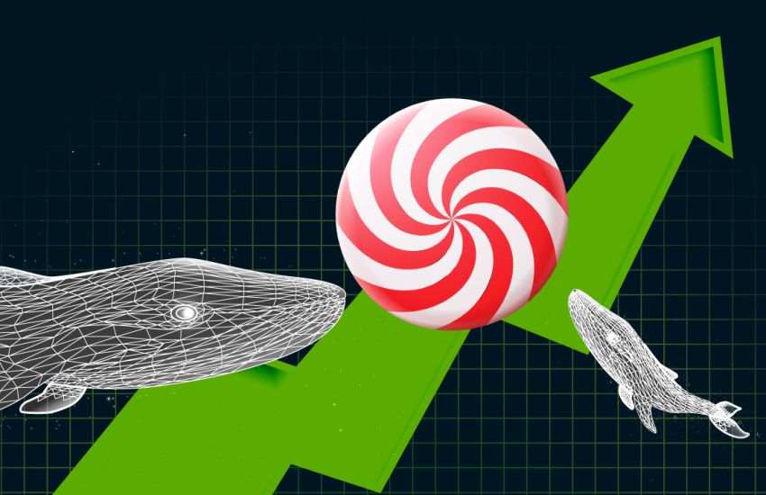 Whales Hold More Than 23% of CandyDEX Tokens