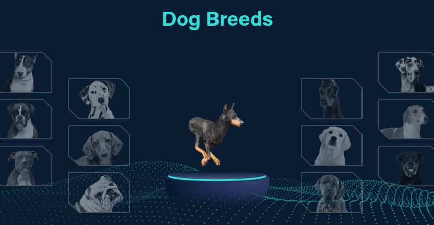 Meta Dog World revoluciona la industria de las carreras de perros a través de la tecnología Blockchain