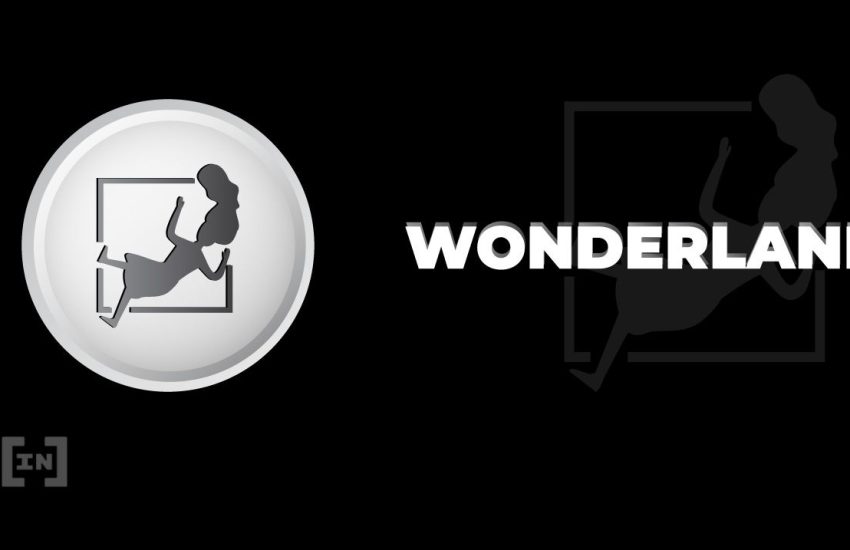 Wonderland Users Vote to Sink $25M Into Sifu Vision Tokens