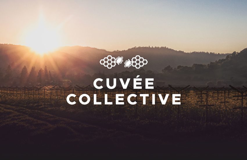 Cuvée Collective NFT se lanza el 27 de julio |  CULTURA NFT |  NFT y arte criptográfico