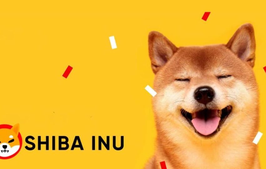 Shiba Inu ha atraído 20.000 nuevos titulares en el último mes