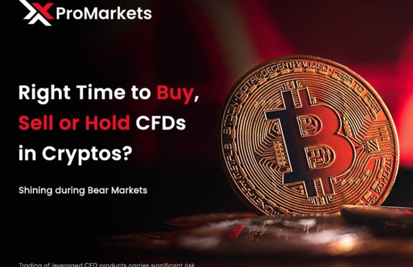 XPro Markets - Crypto Market Crash: ¿Es un buen momento para comprar, vender o mantener?