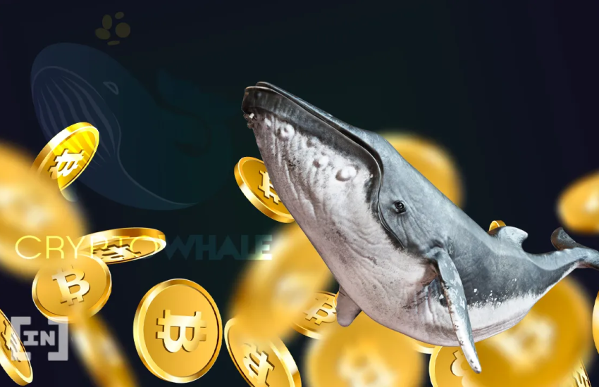 Bitcoin Whale: New Player Buys Three Billion Dollars’ Worth of BTC