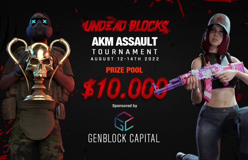 Undead Blocks AKM Assault banner