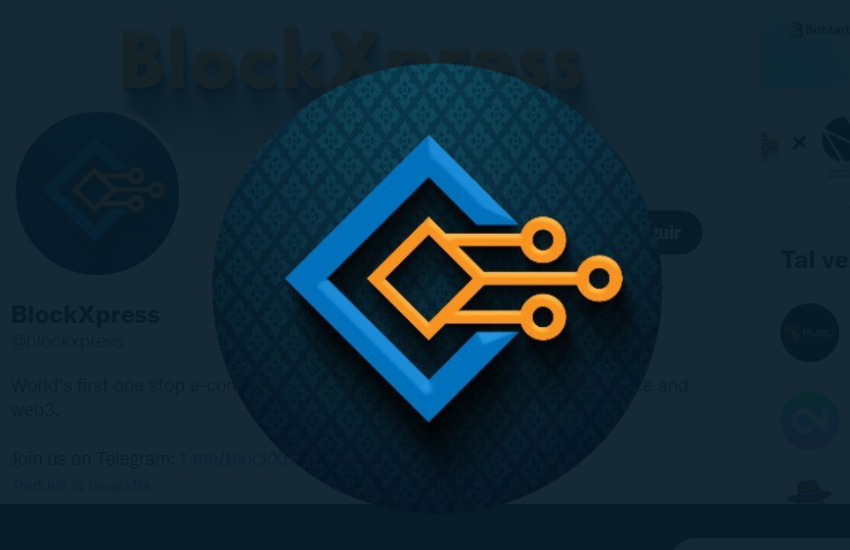 BlockXpress (BX) Token
