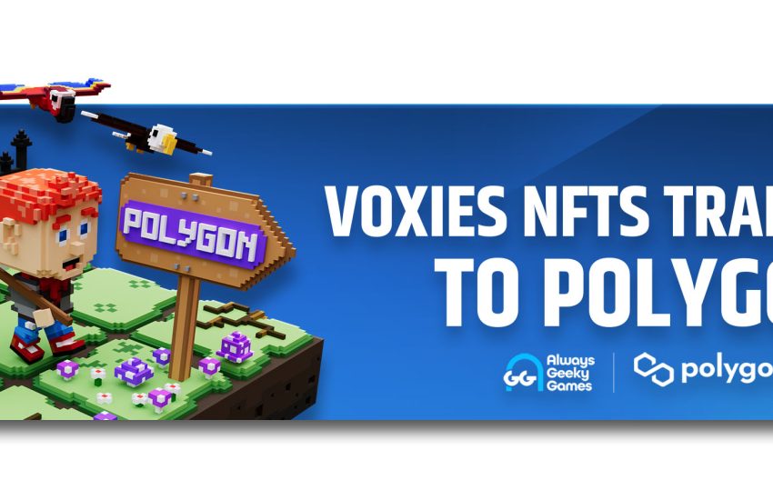 Voxies Polygon banner