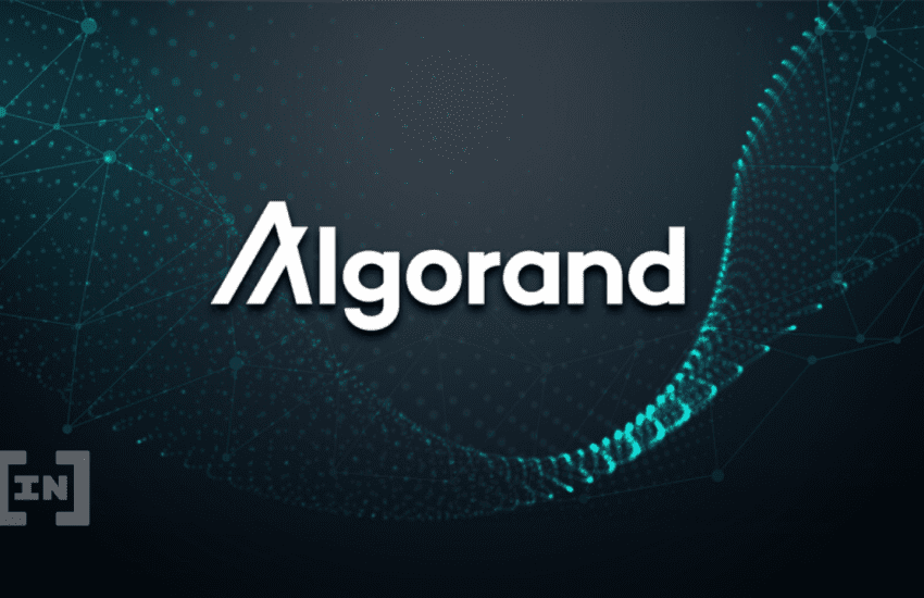 Algorand Foundation Discloses $35M Exposure in Hodlnaut