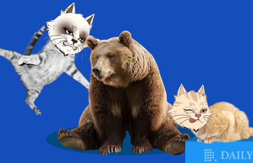 La colección NFT de Angry Cat se dispara un 334 % en el mercado bajista: este es el motivo