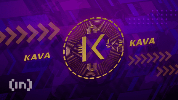 Kava 11 Liquid Goes Live in 24 Hours – Everything You Need to Know