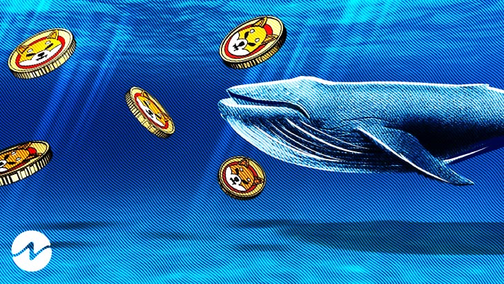 Whale transfiere SHIB 3,36 billones a la billetera anónima