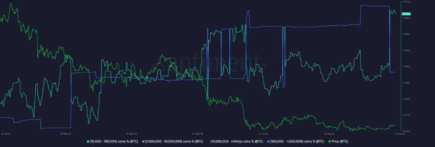 Ballenas de Bitcoin Direcciones de ballenas de Bitcoin |  Fuente: Santimento