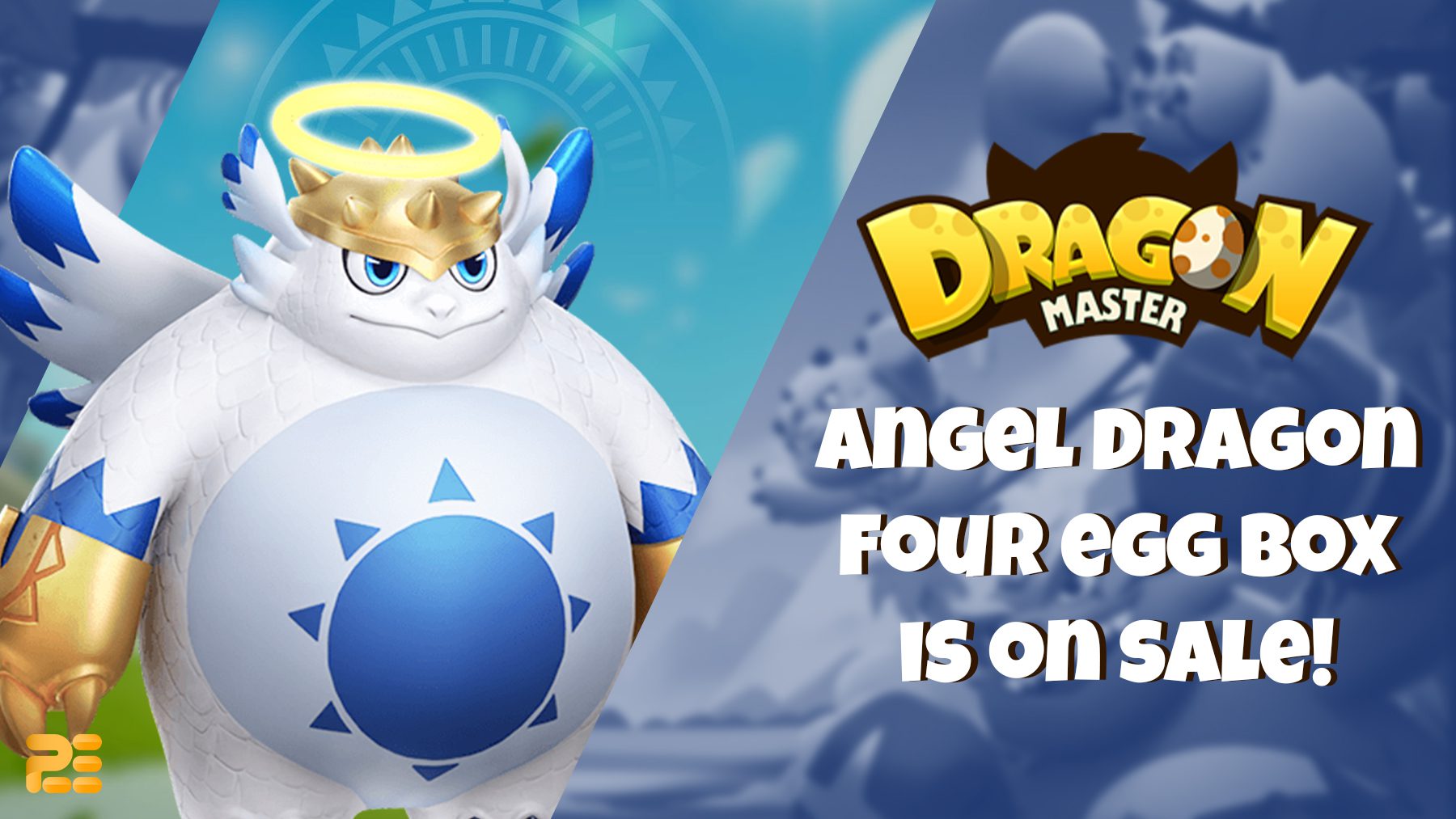 DM ángel dragón venta