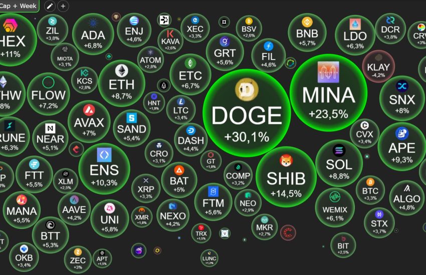 Gracias a Elon Musk, Dogecoin (DOGE) alcanzó el pico más alto desde la caída de LUNA – CoinLive