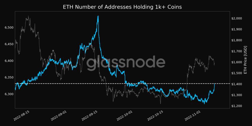 Ethereum (ETH) Número de direcciones que contienen 1k + monedas.  nudo de vidrio