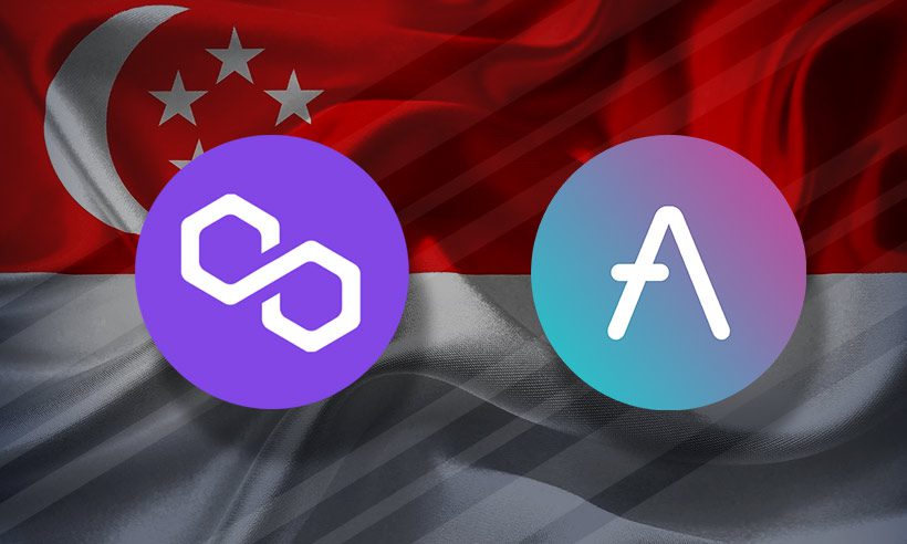 Singapur ejecuta efectivamente la transacción inicial de DeFi en Polygon y Aave – CoinLive