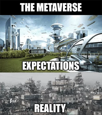 Expectations vs Reality in the Metaverse
