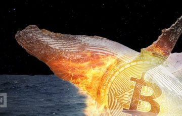 Whale Watching: The Top 5 Crypto Transactions of the Week