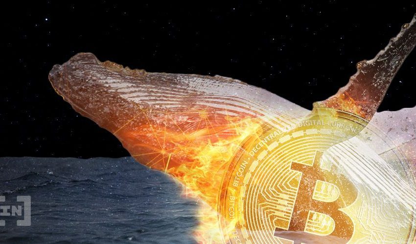 Whale Watching: The Top 5 Crypto Transactions of the Week
