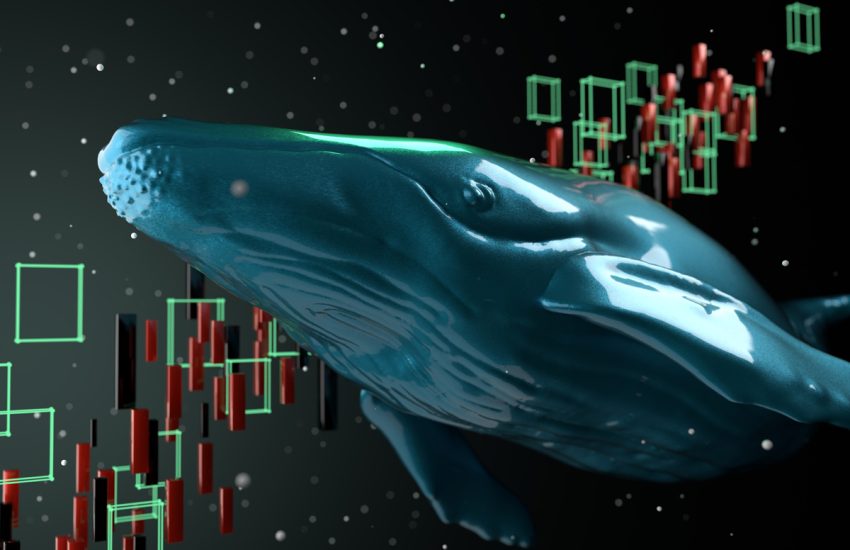 Crypto Whales acaba de agregar estas monedas a sus billeteras: descubra por qué