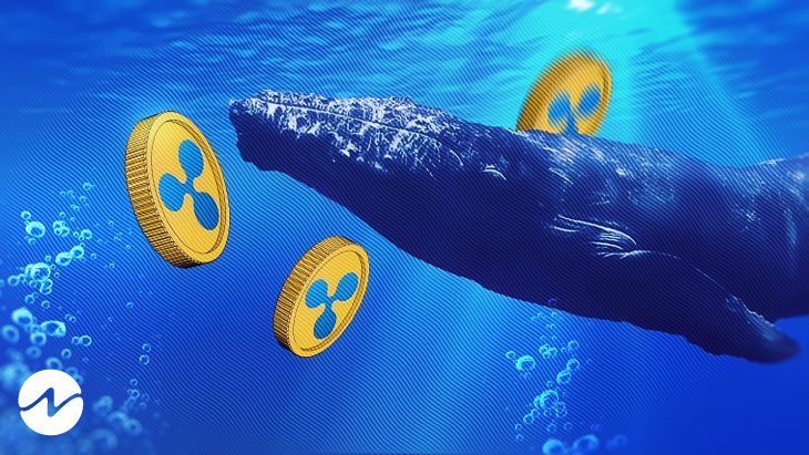 Las ballenas criptográficas están moviendo alrededor de $ 366 millones en tokens XRP