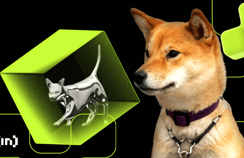 Shiba Inu Leads Dogecoin in Social Activity, But Rich Quack Tops Them Both