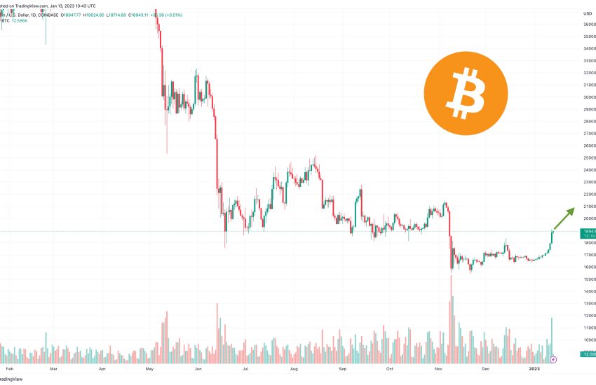 After Bitcoin Price Rallies 12% to $19k is it Time to Buy Top Crypto Coin?