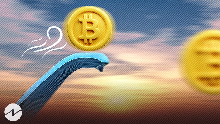 Grayscale Bitcoin Trust (GBTC) sube un 12% a pesar de las luchas en curso