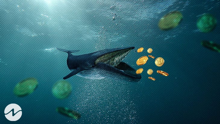 Las ballenas descargan miles de millones de Shiba Inu por un valor estimado de $5.1 millones