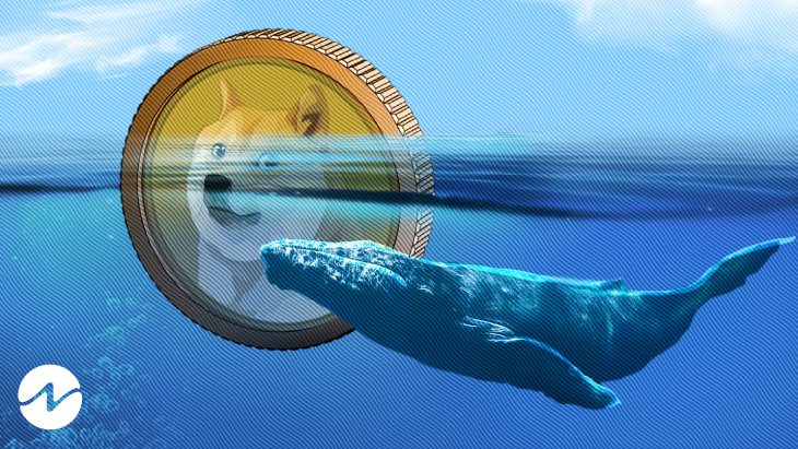 Whale transfiere Dogecoin por valor de más de $117 millones a Binance