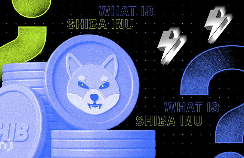 Shiba Inu (SHIB) Price Falls by 23% but Are the Bulls Waiting to Stampede?