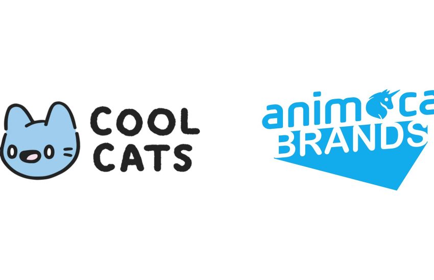 Cool Cats x Animoca Brands