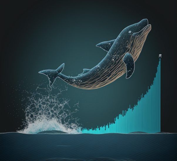 Crypto Whales are Increasing Their Holdings in These Altcoins – What Do They Know?