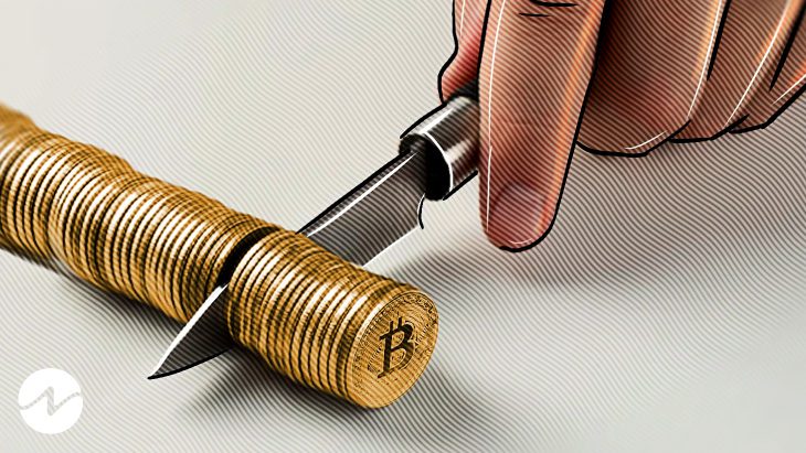 Sri Lanka rechaza la propuesta del multimillonario Tim Draper de adoptar Bitcoin