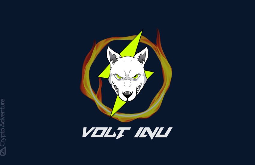 Volt Inu (VOLT) ya está haciendo devoluciones locas antes de Bull Run