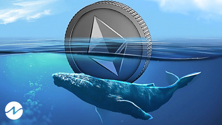 10,266 Ethereum (ETH) por valor de millones transferidos por Sleeping Whale